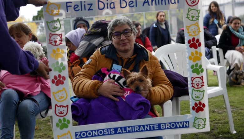 En la previa del “Día del Animal”, Zoonosis Brown y de Lomas brindaron 900 prestaciones